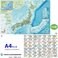 【楽天1位】A4 下敷き 日本地図 地理 都道府県 暗記に最適したじき 定期テスト対策 プラスチック PSMJ 小…