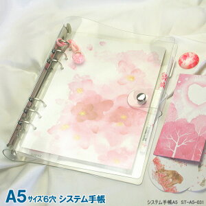 NAȃVXe蒠 A5TCY6 tBZbgt ԕ