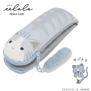 yP[X XgXgɂȂ邩킢yP[X PCƂ̕Sy M AK063