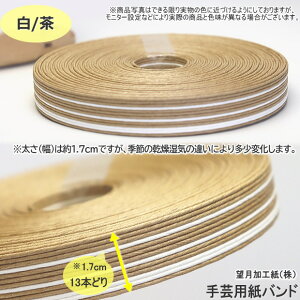 |p΂ Ntgoh 50m 17mm@oh y[p[Ntg {@XgCv Ntge[v@R@obO@҂ނЂ@@x[W@x[W@F