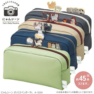 ɂV[ {bNXy|[`L 킢L̃yP[X@eʁ@M