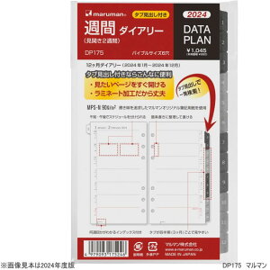 VXe蒠 tB 2026N oCuTCY 6 Tԃ_CA[ DP175 }}