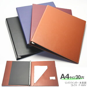 OoC_[ A4TCY30 v rWlX Vv ̂{ṽRoh@dgɍœKoC_[t@C  F  CRNg F-950V