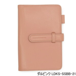 _Cg VXe蒠 6 oCuTCY 琻 Vv  B6 _Cg PUU[  ݃J[ lC