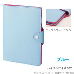 VXe蒠 oCuTCY6 v ݃J[@JWAtBt@C@CC