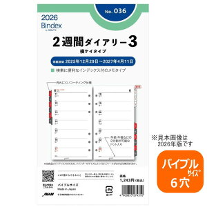 VXe蒠 tB 2026N oCuTCY 6 2Tԃ_CA[3 oCfbNX 036