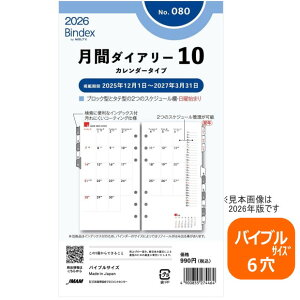 VXe蒠 tB 2026N oCuTCY 6 ԃ_CA[10 oCfbNX 080