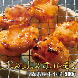 楽天市場 シロコロホルモン おすすめの通販