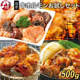 特製タレ漬け 国産牛ホルモンお試しセット(シマチョウ・ぷるぷるホルモン・ミックスホルモン)[500g](冷凍) 食べ比べ お徳用 大容量 焼肉 BBQ 2個購入500円OFF！さらに3個購入900円OFF クーポンあり！