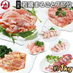 Y { ܂邲 Hה Zbg[1kg](Ⓚ) { P  ɂ  n~   H H lߍ킹 BBQ Lv AEghA ē 2w500~OFFI3