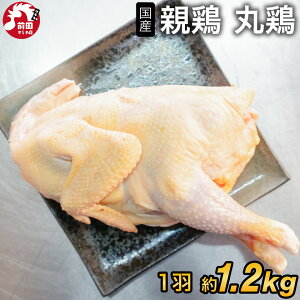 Y e ی{ij[1.2kgO] (Ⓚ) ۂǂ ے Y{ e{ ǂ Ⓓ { eǂ Ђ˂ǂ Ђ˒ Ђˌ{  {  Ƃ Ɩp