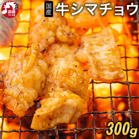 特製タレ漬け 国産 牛シマチョウ(大腸)[300g～](冷凍) シマチョウ ホルモン 牛ホルモン 牛テッチャン てっちゃん しまちょう しま腸 シマ腸 シロホルモン 白ホルモン 牛肉 牛もつ モツ タレ漬け 国産牛 BBQ バーベキュー 焼肉 焼き肉 真空パック