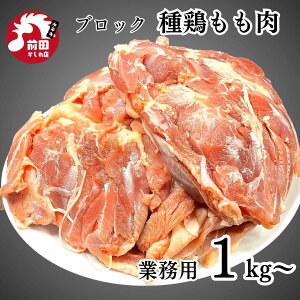 Y { ubN 1kg~ Ⓚ    { 풹 ˂ǂ ク {  Ƃ `L Y   BBQ o[xL[ Lv AEghA  Ȃ   O