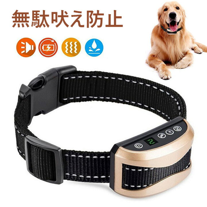 楽天市場】無駄吠え防止 首輪 愛犬むだぼえ防止グッズ 犬用リード付き 