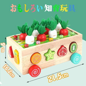 こども農園の果樹園おもちゃ木のおもちゃ ニンジン パズル 玩具 知育玩具 人気 指先レッスンボックスはめこみ 形合わせ 木製おもちゃ 男の子 女の子 農場ニンジン抜き・りゲーム 果物・大