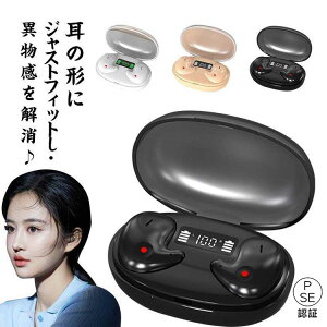 yOKz 錓pCz Qz pCz CXCz Bluetooth5.3 Չ ɂȂ Ci[C[^ PCXgN^[ďC QȂ ^