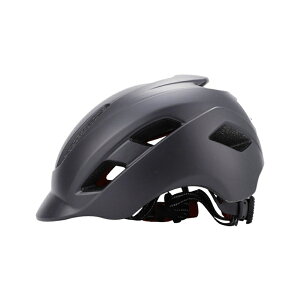 wbg] ]ԃwbg ] jp ]ԗp TCN yʍ [hoCN CEF؍ w JXN ʊw ʋ w Z TCY\