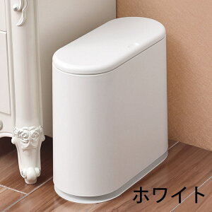 _Xg{bNX S~ S~ XS~ rO Q ʏ  Vv ݂΂    gbV{bNX V 15L