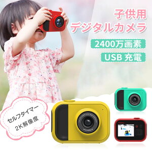 qpJ 𑜓x6016 x 4000 rfIJ vC[ Xr[J[ yĐ 32GB J[ht 2C`IPS 4 {fW^Y[ qpfW^J LbYJ 蕨 a