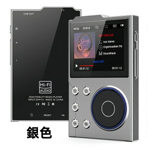 Bluetooth 5.3 Ή HiFi MP3 v[[AXX DSD FLAC v[[AfW^yv[[|[^uI[fBIv[[Aő 256GB ܂Ŋg\