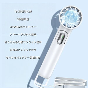 2025\ 1bXuԗp nfBt@ gѐ@ pv[gt hЃObY nfBN[[ oCobe[ Max14ԘA 5i 10[h | K