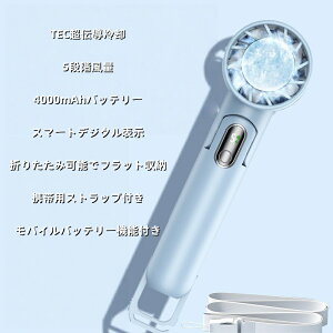 2025\ 1bXuԗp nfBt@ gѐ@ pv[gt hЃObY nfBN[[ oCobe[ Max14ԘA 5i 10[h | K