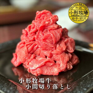 IK^̓ʂdiyA3`A5z`qꋍ@Iׂ Ԑ؂藎Ƃ 300g×1 or 100g×3@@@јa@Y@j@ʂȓ@Mtg@LO@J@@ 񂹃O