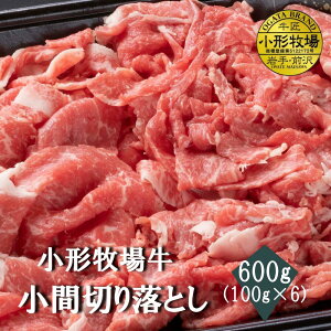 yA3`A5z`qꋍ@Ԑ؂藎Ƃ600g(100g×6)@@@јa@Y@j@ʂȓ@Mtg@LO@J@@ 񂹃O ē @BBQ