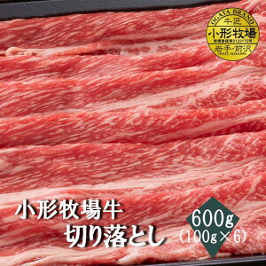 yA3`A5z`qꋍ@؂藎Ƃ600g(100g×6)@@@јa@Y@j@ʂȓ@Mtg@LO@J@@ 񂹃O ē @BBQ