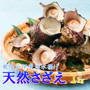 さざえの人気商品 通販 価格比較 価格 Com さざえの人気商品 通販 価格比較 価格 Com