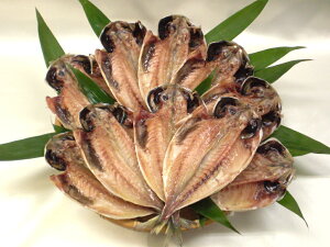 人気商品!【送料無料】完全無添加 自家製ひもの 甘塩仕立 アジ干物 ・中サイズ 20枚セット