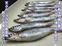 【今だけ5Lサイズをお届けします！！】価格変動商品　 子持ちししゃも 加熱用 4L 23/25 　約20～25尾入り【500グラム…