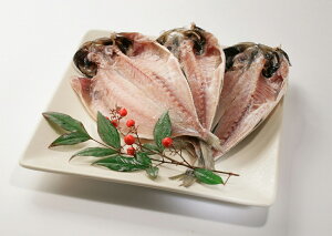 Nɐo܂!@AiXTCYYY gAW 1