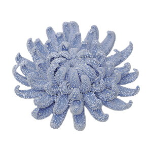 IuWF  A  Ǌ| HUNT9 Abyssal ( ArT )