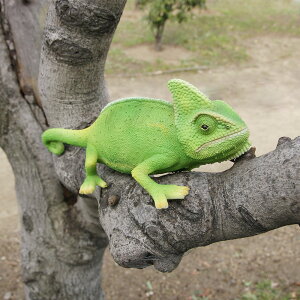 �J�����I�� ������ ���A�� �I�u�W�F �u�� PET BANK CHAMELEON ( �y�b�g�o���N �J�����I�� )