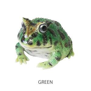 xcmKG A JG ^ IuWF u }Olbg REPTILES MAG HORNED FROG ( v^CY }O z[htbO )