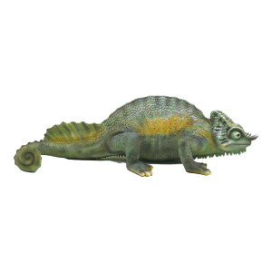 �p�[�\���J�����I�� ������ ���A�� �I�u�W�F �u�� PET BANK PERSON CHAMELEON ( �y�b�g�o���N �p�[�\���J�����I�� )