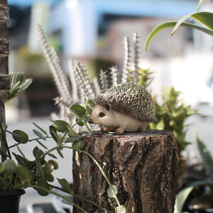 �n���l�Y�~ ������ ���A�� �I�u�W�F �u�� PET BANK HEDGEHOG ( �y�b�g�o���N �w�b�W�z�b�O )