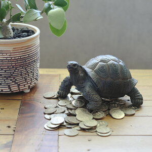 NK J T A  IuWF u PET BANK TORTOISE ( ybgoN g[^X )