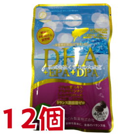 広貫堂 DHA+EPA+DPA+レスベラトロール + イチョウ葉エキス 40粒 12個 富山めぐみ製薬