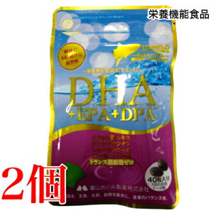 広貫堂 DHA+EPA+DPA+レスベラトロール+イチョウ葉エキス 40粒 2個 富山めぐみ製薬