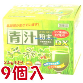 青汁粉末DX 2.5g40包 9個 カッセイシステム 青汁粉末DX 栄養機能食品（ビタミンB6）
