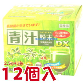青汁粉末DX 2.5g40包 12個 カッセイシステム 青汁粉末DX 栄養機能食品（ビタミンB6）