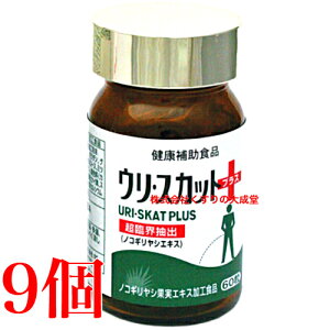 E XJbg vX 60 9 iH i̊2027N8
