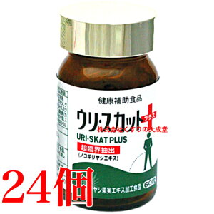 E XJbg vX 60 24 iH i̊2027N8