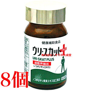E XJbg vX 60 8 iH i̊2027N8
