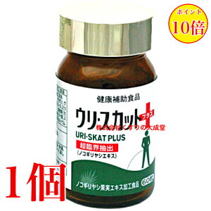 16܂ł̂ E XJbg vX 60 1 iH i̊2027N8