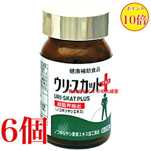 E XJbg vX 60 6 iH i̊2027N8