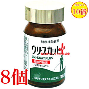 E XJbg vX 60 8 iH i̊2027N8