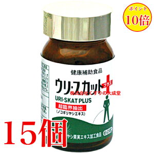 E XJbg vX 60 15 iH i̊2027N8